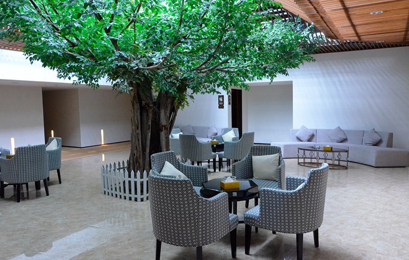 油煙凈化器，油煙凈化設(shè)備，油煙凈化機(jī)