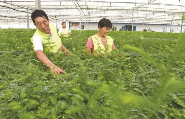 油煙凈化器,油煙凈化設備,油煙凈化機