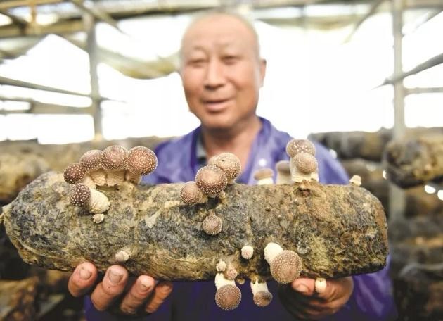 油煙凈化器,油煙凈化設備,油煙凈化機