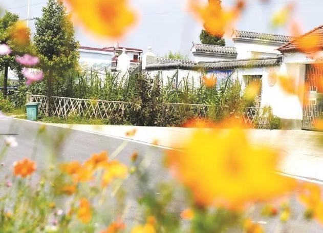 油煙凈化器,油煙凈化設備,油煙凈化機