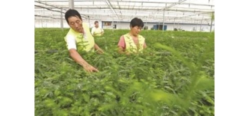 廣杰GOJEK：淮南時政｜沈強主持召開創建全國文明城市工作調度會/堅決打贏秋冬季森林防滅火攻堅戰