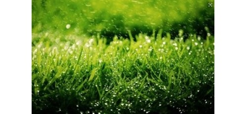 廣杰GOJEK：楊青玖：深入開展餐飲油煙治理 持續改善環境質量