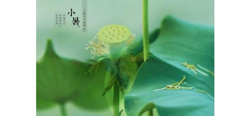 廣杰GOJEK：小暑| 炎炎夏日廣杰環保煙罩一體機助餐飲廚房擁有新鮮空氣！